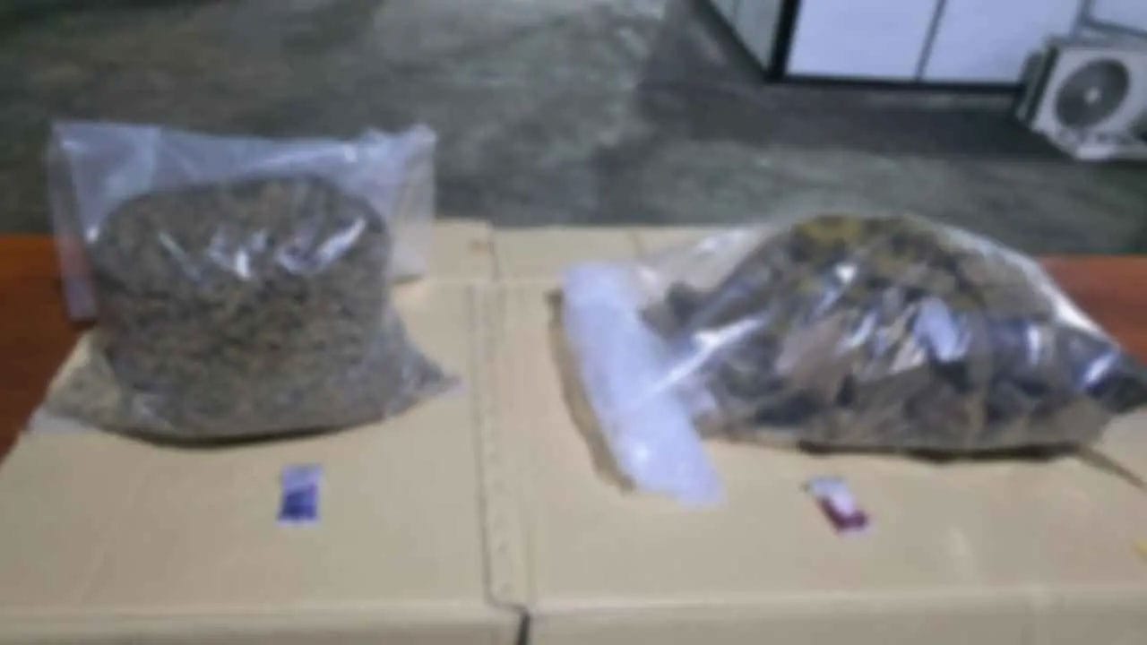 Customs seizes cannabis and hashish worth Rs. 157 million smuggled from Thailand